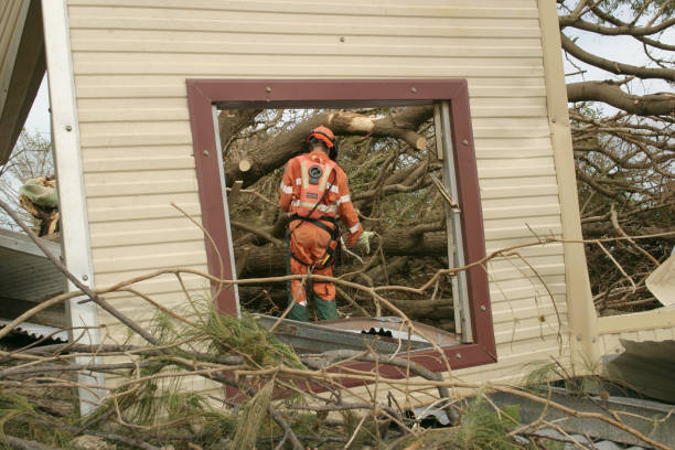 Best Tree Risk Assessment  in Vienna, IL